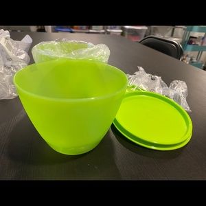 Tupperware refrigerator bowls and lids